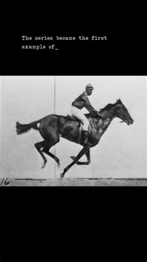 The Horse in Motion 1878 | A Landmark in Early Motion Photography