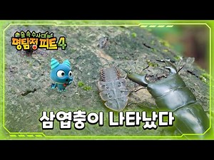 [명탐정 피트 4] - 삼엽충이 나타났다
