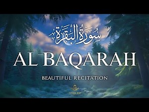 Surah Al-Baqarah Full (سورة البقرة) | Beautiful Quran Recitation for Peace & Protection | Alaa Aqel