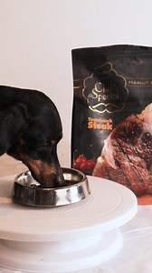 One moment, a full bowl… the next, vanished! ✨ Because when it’s Chef’s Special, every bite is too good to resist. 🐶❤️ Savor the Delicious Moments by Chef’s Special—made with love, enjoyed in seconds! 🍽️💛 Give your pup the best with Chef's Special Premium Dog Food – crafted for discerning palates. Available in-store and online! TikTok: https://bit.ly/TikTokChefsSpecial Shopee: https://bit.ly/ShopeeChefsSpecial Lazada: https://bit.ly/LazadaChefsSpecial #DeliciousMoments #ChefsSpecialTime #DogF