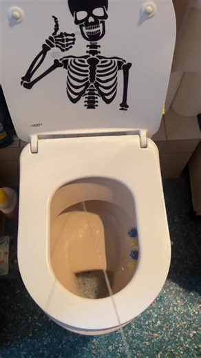 Ups | Michelle Engelmann