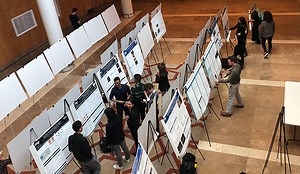 Radiology Initiative for Scholarly Engagement (RISE Program)