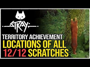 Stray All Scratch Locations (Territory Achievement)