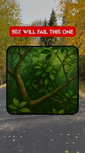 114K views · 10K reactions | Can you find a monkey? #quiz #fun #brainteaser #puzzle | Info-nity | Facebook