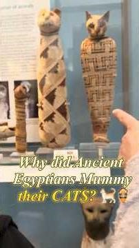 Secrets of the Afterlife: Cat Mummies & Ancient Guardians ⚰️🐈#britishmuseum #cat #mummy #egypt #uk