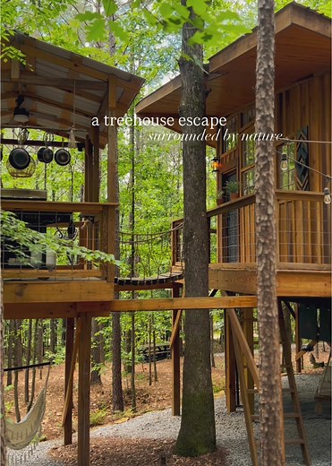 Firefly Treehouses on TikTok