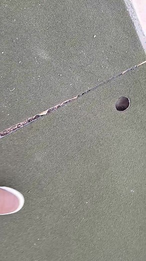 Back yard mini golf ⛳️ | George Ruiz