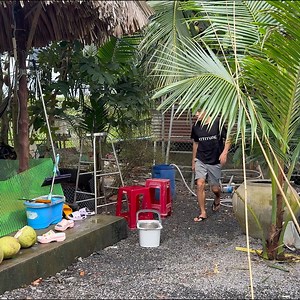 803K views · 12K reactions | Thấy dì 2 mệt quá, thuận gòm dẹp tiệm 1 ngày và cái kết #thuangomvlog | Thuận Gòm Vlogs | Facebook