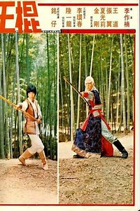 Shaolin Invincible Sticks - Movie