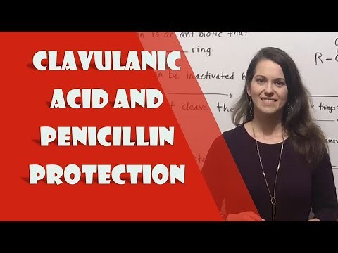 Clavulanic Acid (Clavulanate) and Penicillin Protection