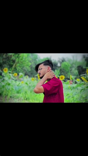 সূর্যমুখী বাগানে হারানো বিকেল | Natural Cinematic Video 🌻 | Visual King Mustakim #capcut