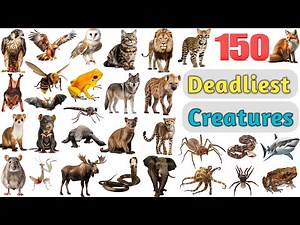 Deadliest Creatures Vocabulary ll 150 Deadliest Animals Name In English With Pictures ll Animals
