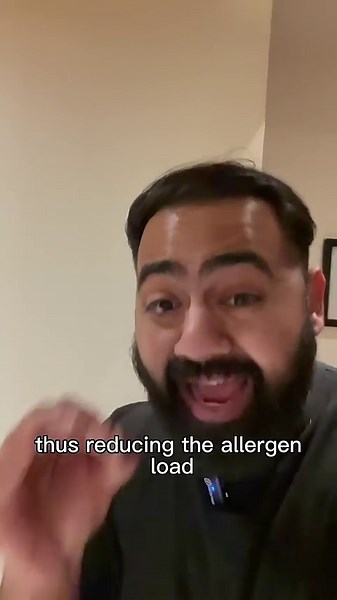 What you should do if you are allergic to cats