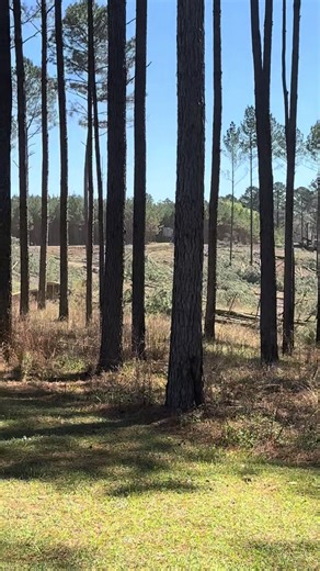 Landowner Caught Timber Logging Equipment