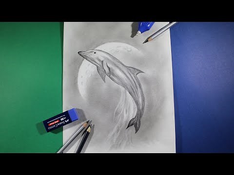 how to draw a dolphin jumping out of water step by step