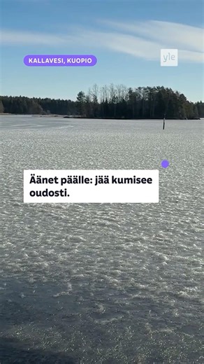 Kuuletko tämän? Jää ääntelee