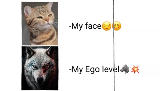 Understanding the Angry Wolf Ego