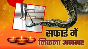 घर में घात लगाकर छिपा था विशाल अजगर, अनहोनी से अंजान थे लोग, तभी पड़ गई नजर