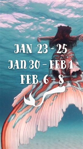 Mystic Aquarium on Instagram: "Prepare to be spellbound as mesmerizing mermaids return to Mystic Aquarium! Event Highlights: * Witness awe-inspiring mermaids as they swim among the vibrant sea life in our reef habitat, included with your General Admission tickets. * Capture a moment to cherish forever with an on-site meet-and-greet photo opportunity. * Embrace the spirit of the sea by dressing as a mermaid, pirate, or any other ocean-themed character—let the magic flow! Dates: January 23–25 (Fri