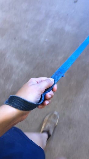 Discover the Joy of Puppies: Heartwarming Dog Moments