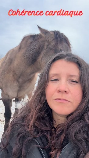 ✨ La médecine du cœur des chevaux ✨ Les chevaux vivent naturellement dans un état de cohérence cardiaque : leur cœur bat en harmonie avec leur respiration, avec la Terre et avec tout ce qui les entoure. Quand ils se placent près de nous, leur champ cardiaque — immense et apaisant — vient doucement réguler le nôtre. Ils ressentent nos émotions, nos tensions, nos besoins… et, sans rien forcer, ils nous invitent à revenir dans notre axe, dans notre respiration, dans notre vérité intérieure. Dans ce