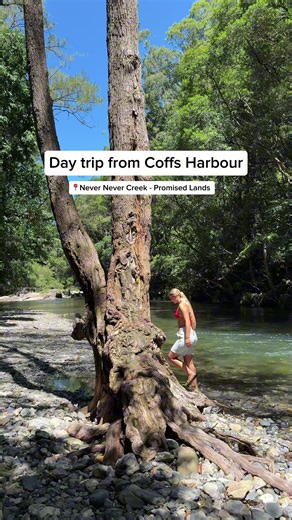 Best Day Trip to Never Never Creek from Coffs Harbour