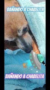 #xmen chabelita le toco baño