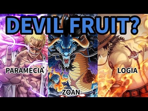 What is a Devil Fruit - One Piece