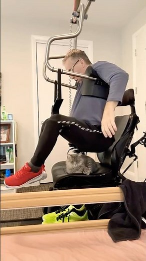 Cat Refuses to Let Man Sit in Wheelchair #Cats #CatLife #CatParents