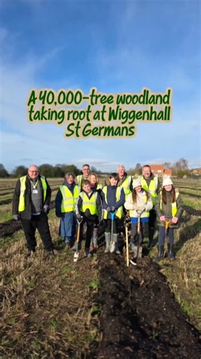 As part of #NationalTreeWeek, pupils from St Germans Academy, Cllr James Bensly, Cllr Brian Long, and members of the local parish council helped plant the very first trees of what will become a 40,000-tree woodland in Wiggenhall St Germans 🌳✨ This new woodland will become a space for nature, learning, and future generations to enjoy. Read more about the project and how to get involved – link in comments #AmbitiousForNorfolk #1MillionTreesForNorfolk #TreePlanting #NatureRecovery #Norfolk | Norfo