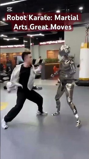 Robot Self Defence Karate Moves: Martial Arts, Great moves. #tech #ai #robot #karate #martialarts
