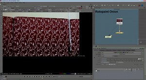 Nuke Rotopaint Onion