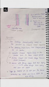 Ion Exchange Chromatography | Introduction • Principle • Classification. #ionexchange #pharmacy