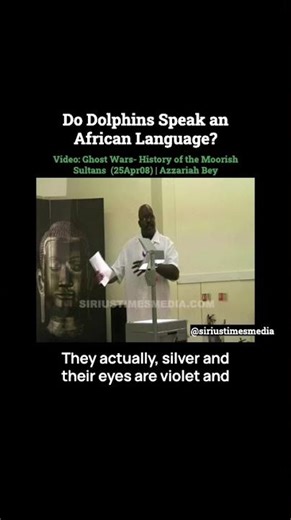 Do Dolphins Speak an African Language? #azzariahbey #shorts