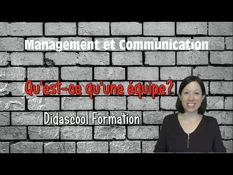 Formation gratuite au Management : Définition de la notion d'EQUIPE. Exemple des oies sauvages.