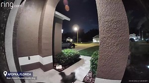 1.3M views · 6.5K reactions |  BEAR CHASES FLORIDA COUPLE: A doorbell camera video of an Apopka couple and their tiny dog being charged by a black bear is quickly going viral. You can't take him puppy!  | WESH 2 News | Facebook