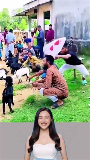 Best fails 85 #FunnyVideos #Fails #Comedy