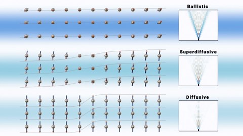 Quantum simulations reveal spin transport in 1D materials