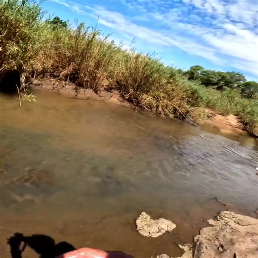 Solo Survival And Fishing In The Deep African Wilderness! #Fishing #Africa #Exploration #Wilderness #Adventure