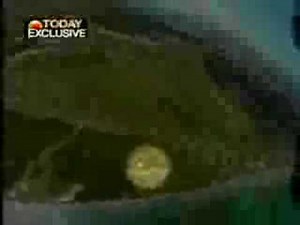 Skydiver Parachute Doesn't Open