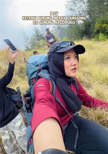Penjaga Sungai Qolbu Gunung Argopuro: Merak Jawa yang Cantik