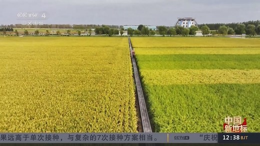 荒原变粮仓 “数”说北大荒新型农业现代化道路