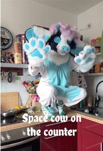 Space cow spotted on the counter 🐮🪐