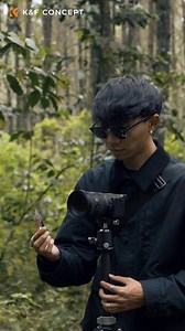 2.2K views · 15 reactions | Effects filters, the superpowers for your...