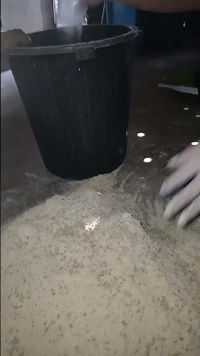 mixing feeds for pig