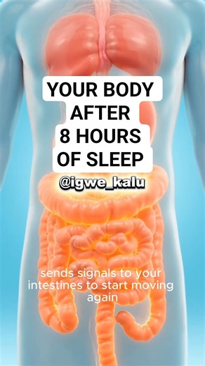 What Drinking Water Right After Waking Up Does to Your Body (Step by Step)