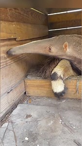 Gurveer Creater B on Reels