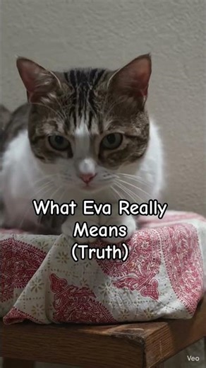 👉IS MY CAT OVERREACTING 😔 #cat #catshorts #catvideos #cutecat #funnycats #shorts