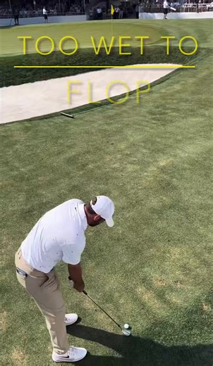 The Golf Project- Steven E. Greer, MD (@GolfGreer) on X