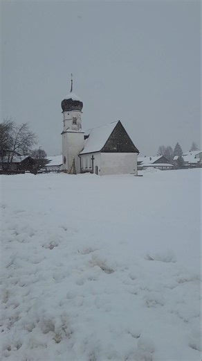 So schön🤩❄️ #schnee #nature